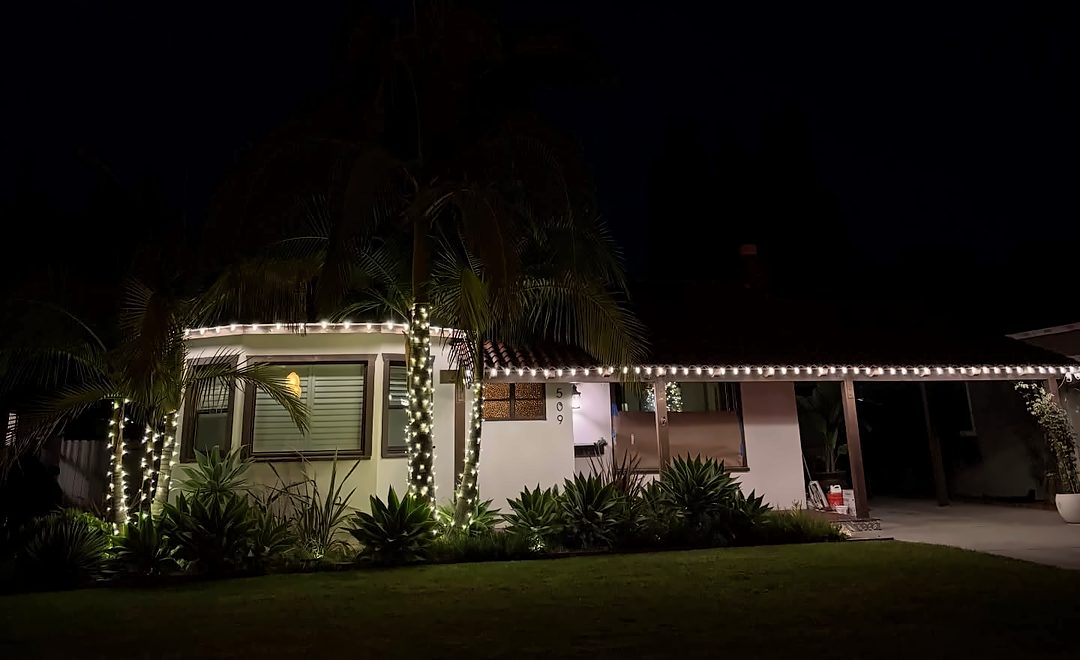 Palm wraps and a single-story roofline