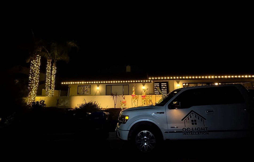 Our truck at a palm and roofline install